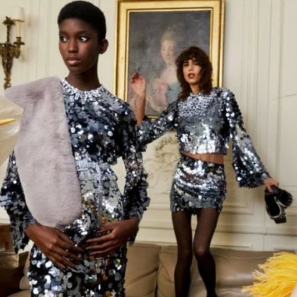 BLOGGER'S FAVE! Zara Special Edition Sequin Crop Top Sz XS NWT - Picture 16 of 16